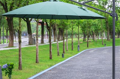 umbrella 11 (1)