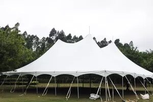 party tents (24)